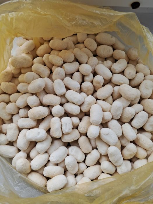 курт колдын курты