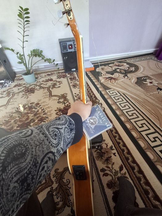 Гитара плюс чехол вместе