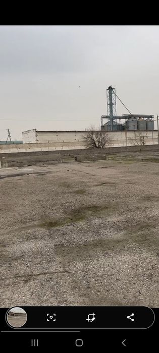 1 гектар 60соток Верхнечирчикский райн  Болта