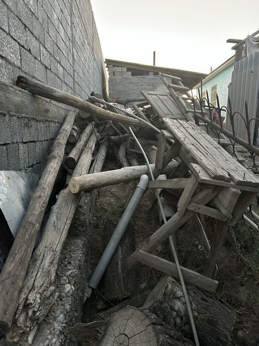 Отындар Тегын даром