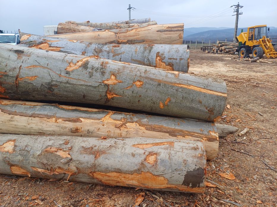 Nisip-- Sorturi--Concasata