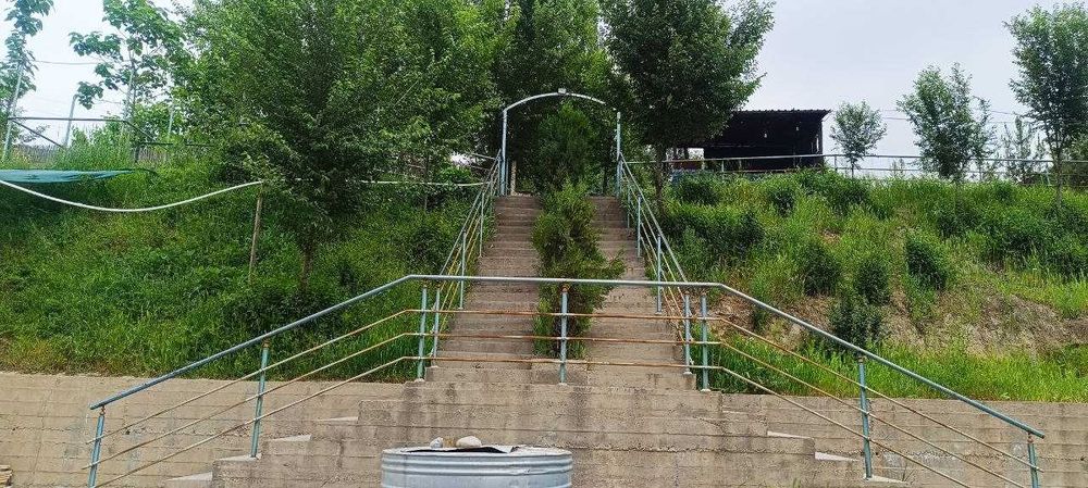 Шошилинч нотурар чойхона сотилади