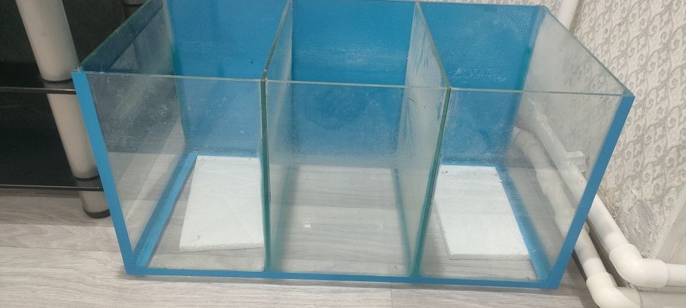 Аквариум сатыоады