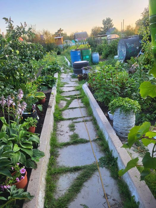 Продам дачу. (Энергостроитель)