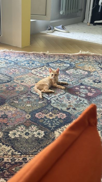 Продам ковер 150х200