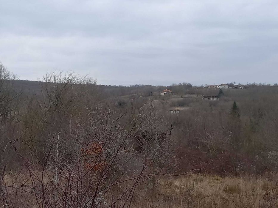 Продава се Парцел в с. Садово, Област Варна - 5165 кв.м за 5 €/кв.м - Снимка #1