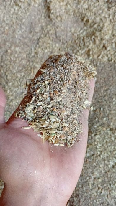 Отходы Отходы полова овёс