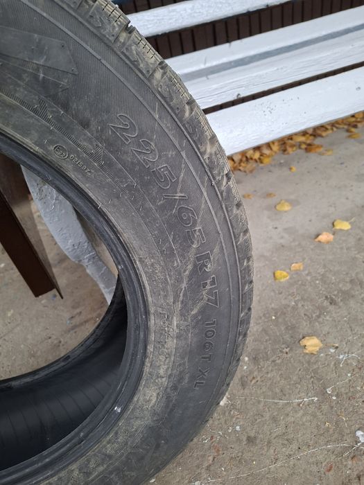 Шины зимние Ikon Tyres