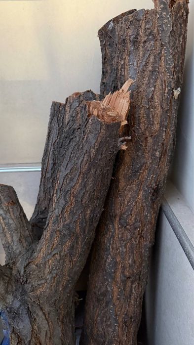 Отин, дрова, готовы к использованию