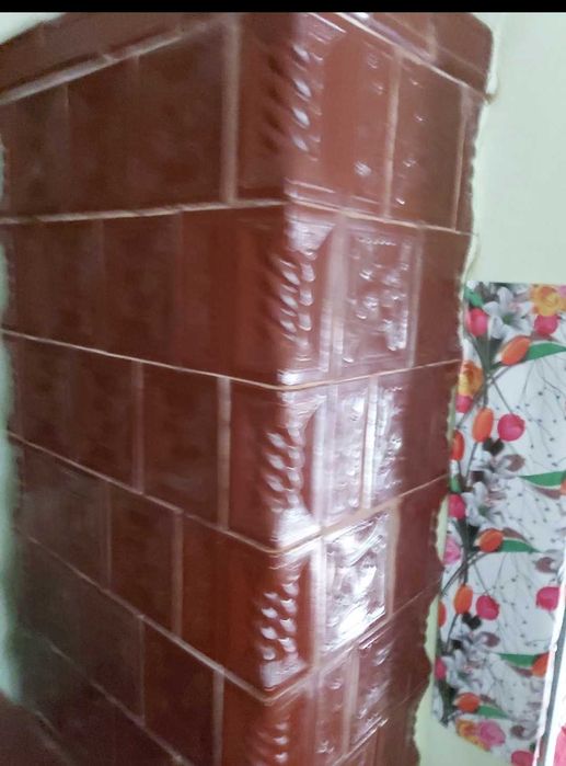 Vând casă cu anexă gospodarească, gradină și pădure salcămi maturi.