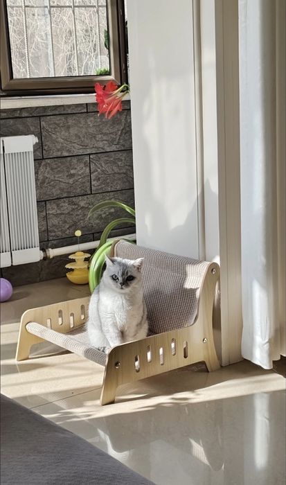 Когтеточка для кошек