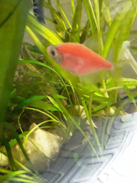 Продается аквариум