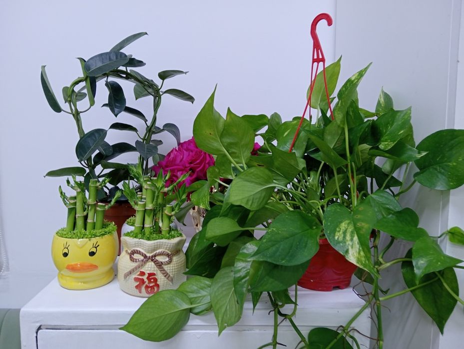 Уютные и Красивые для Вас