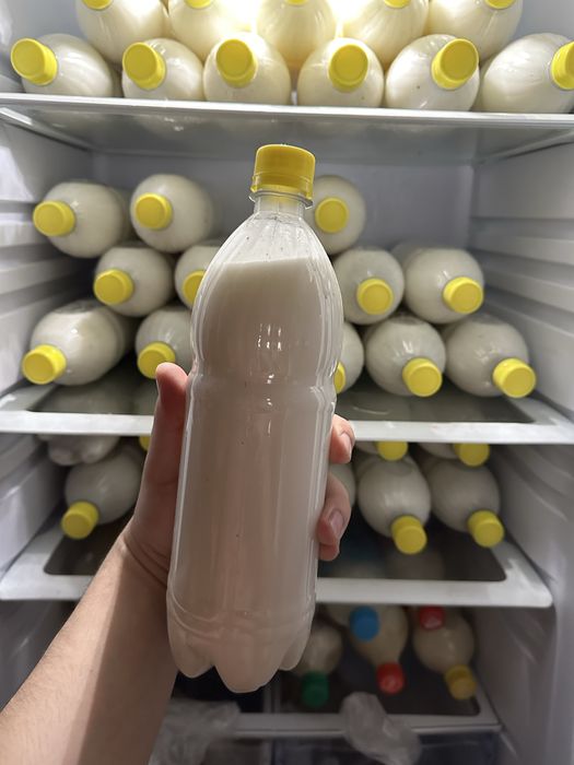 Продам Баянский кымыз( кумыс)