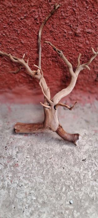 Коряги в аквариум