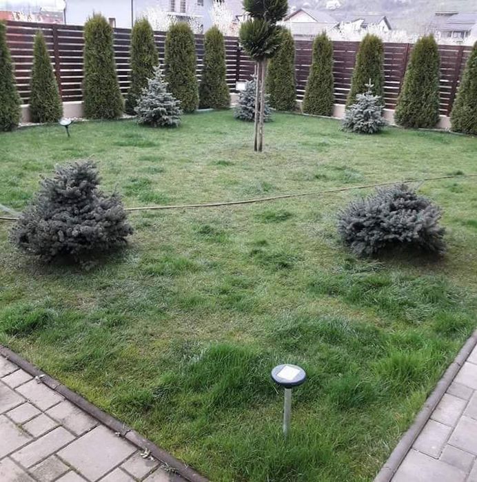 Executam lucrări în grădini cu plante gazon și piatra