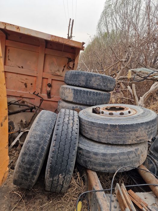 12 balon va diskalar howo lar uchun