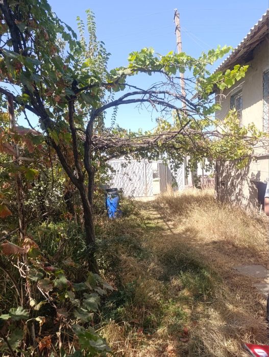 Срочно продаётся дача 6 соток,М-1,Урток,8км от Ташкента,прописка есть.