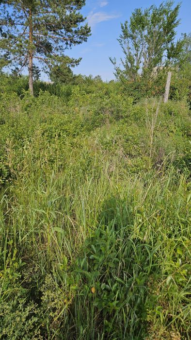 Продам дачный участок Автомобилист