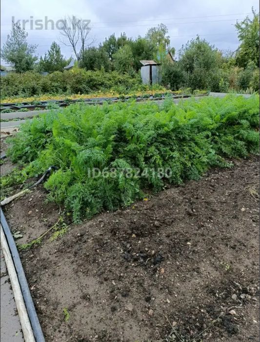 Продам дачу на Каучук 12 соток