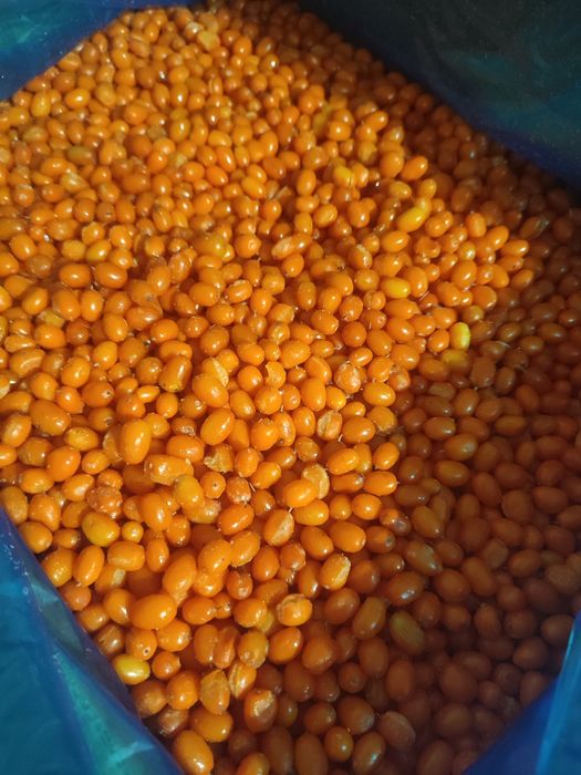 Облепиха  свеже-мороженая