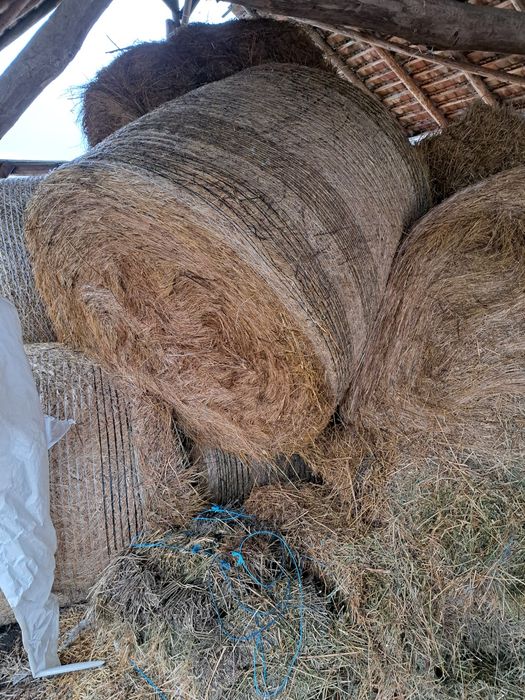 Baloti de fin de vinzare