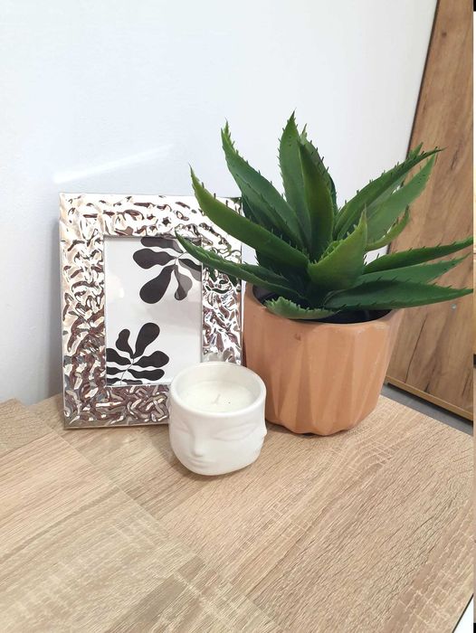 Garsoniera Regie, metrou Grozavesti, proprietar