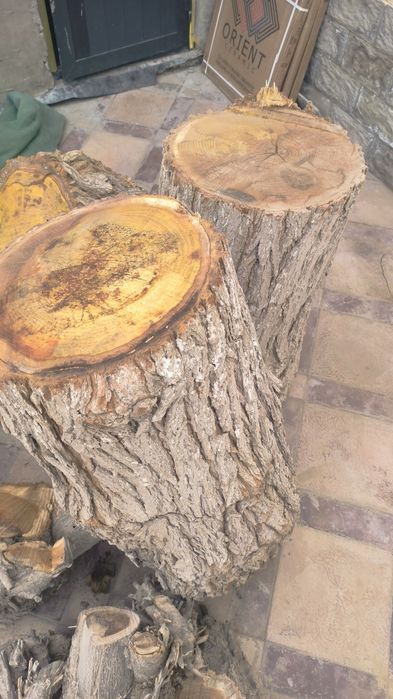 O'tin Kunda lar katta katta. Arzon