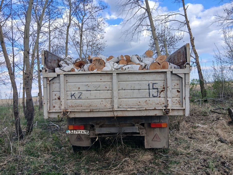 Дрова березя чурками