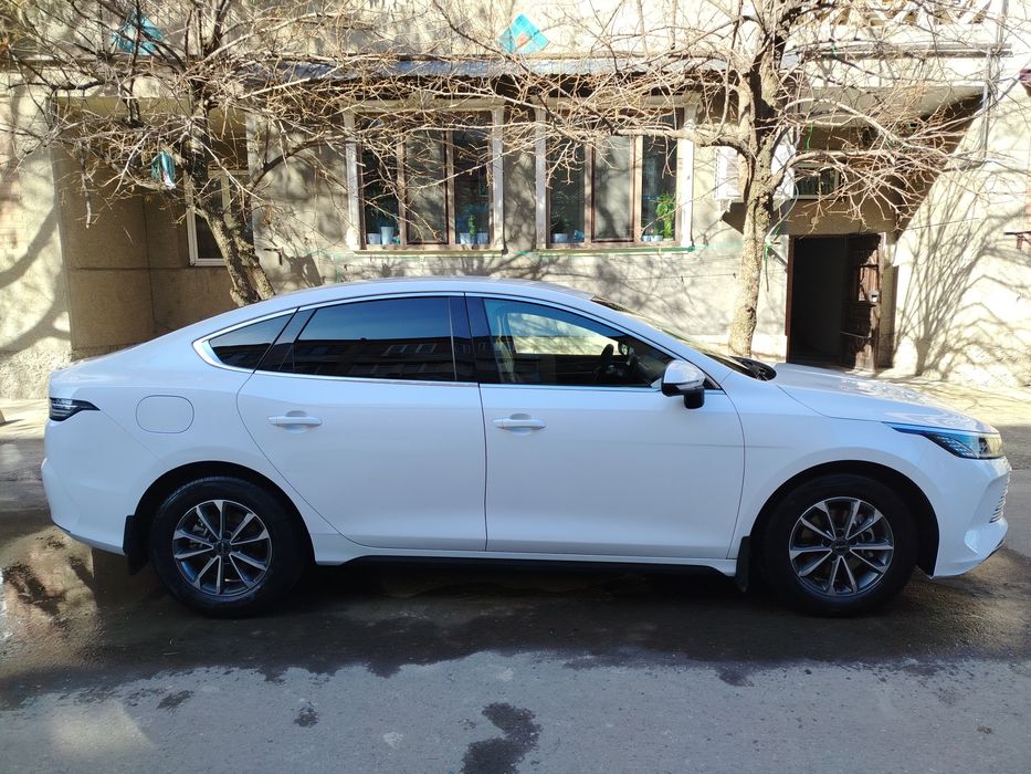 BYD chazor 2024 год из салона 2025