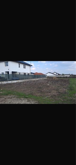 Teren Otopeni Ciprian Porumbescu