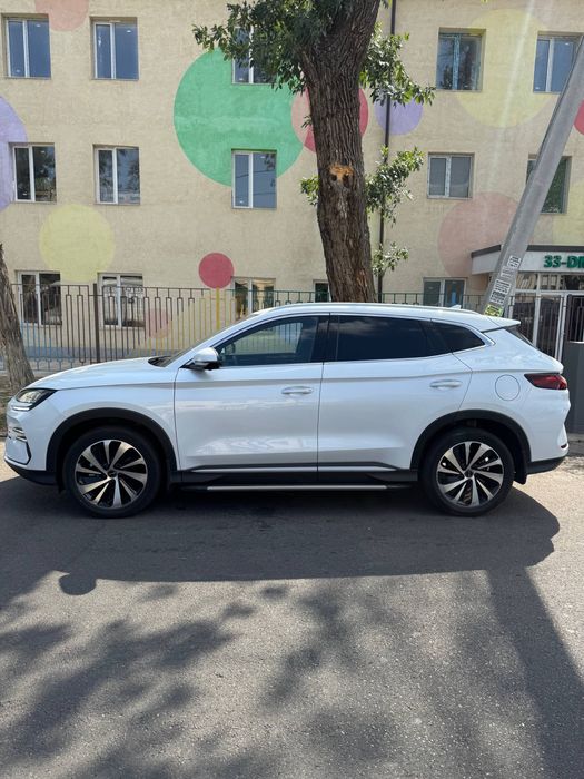 Byd chempion gibrid, 150 talik sotiladi