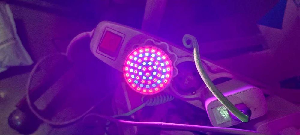 Подсветка для комнатных цветов