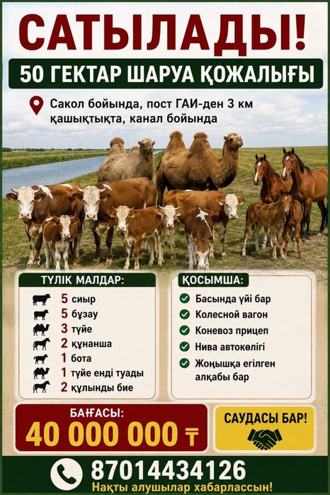 Мал жайылымы, шалғындық жер