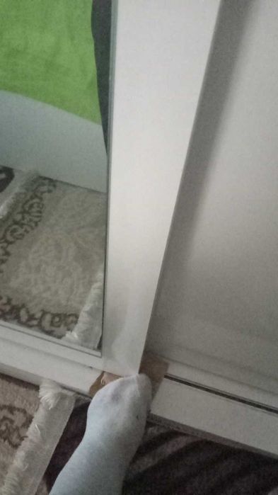 Haine de copi și dama