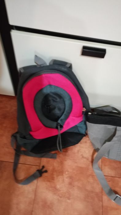 Animale de companie  transport