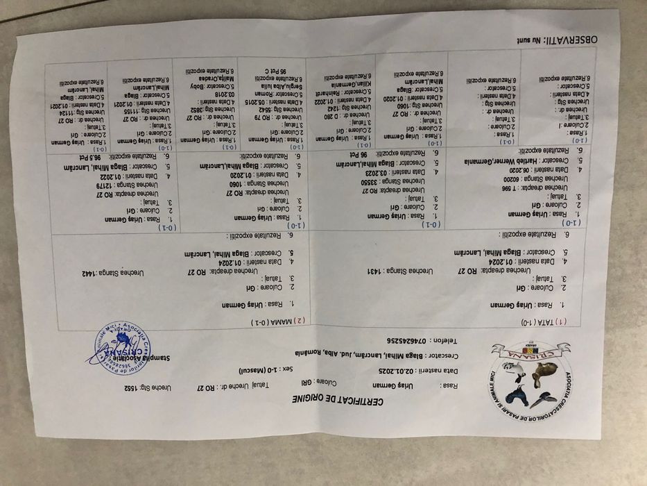 Urias german pereche