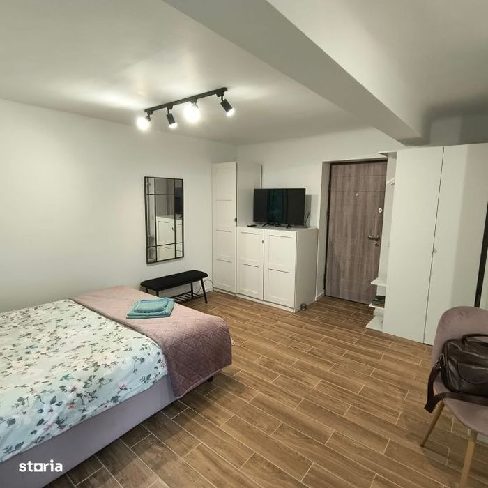 Apartament cu o camera in vila, langa Parcul Central, Grigorescu — fotografia 1