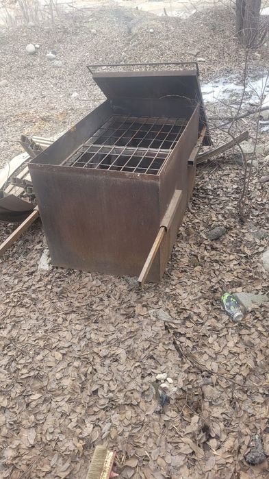 Коктальница большая .