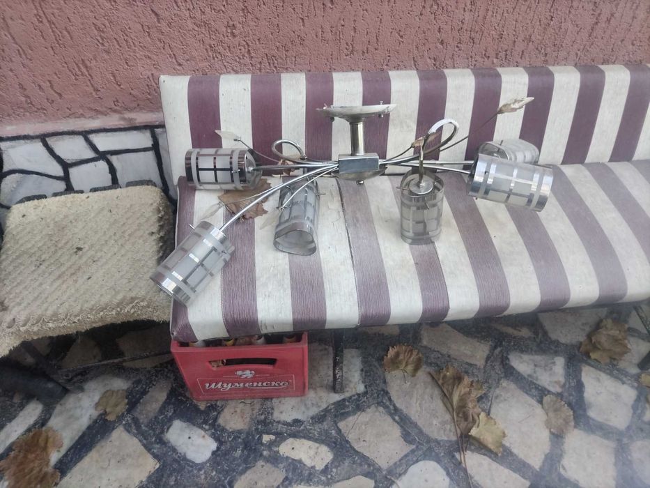 Полилей в добро състояние