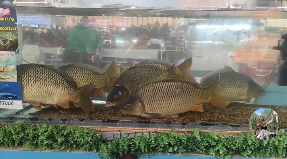 Отдел продажи живой рыбы