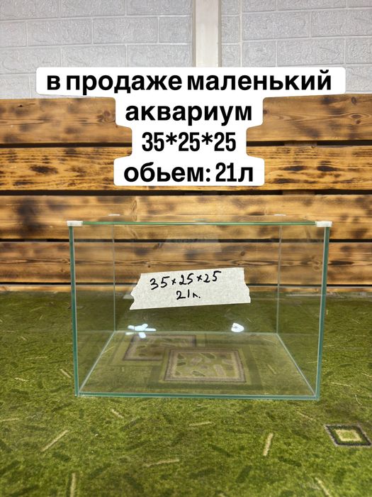 Аквариум