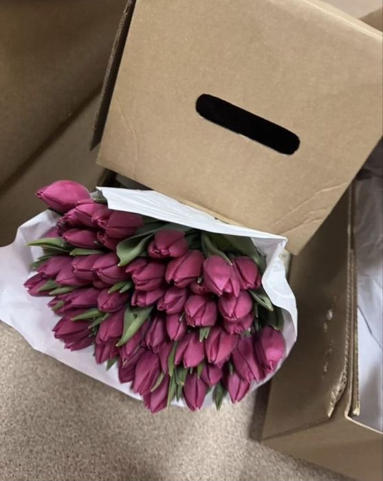 Тюльпаны оптом свежая вырезка