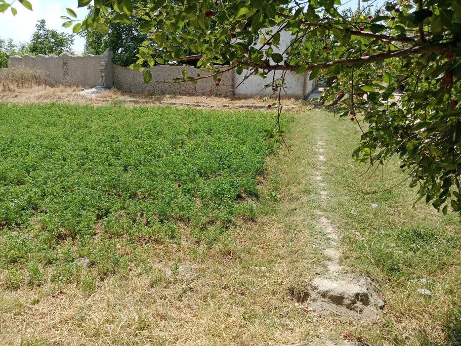 Yer uchaska sotiladi