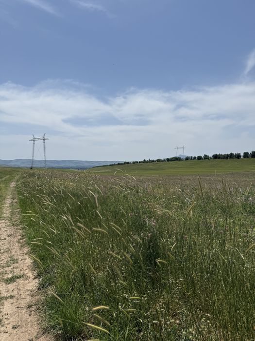Продается Участок 4,5 соток ленгер