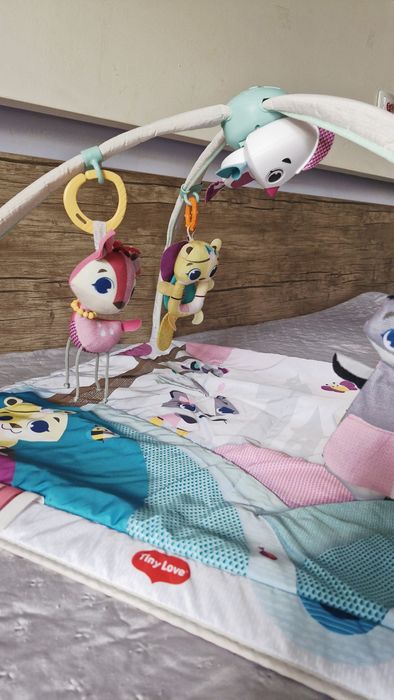 Активна гимнастика Tiny Love Tiny Princess Tales Gymini Deluxe