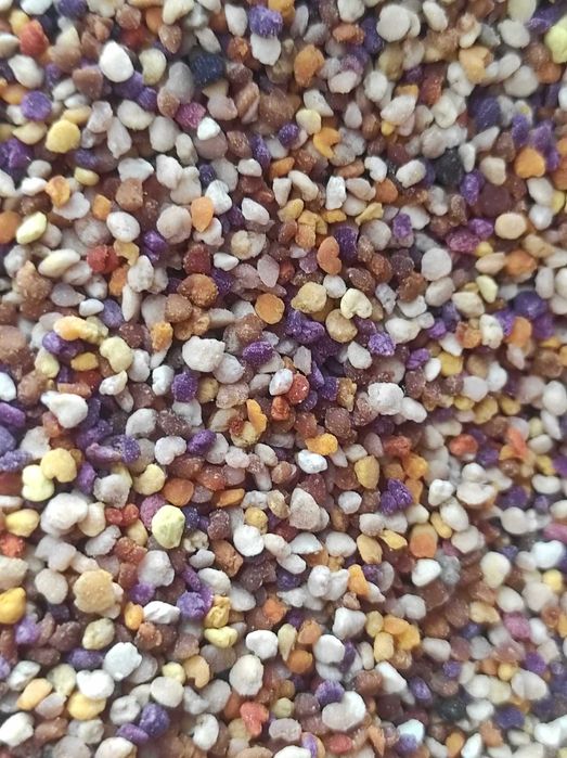 Пчелен        мед