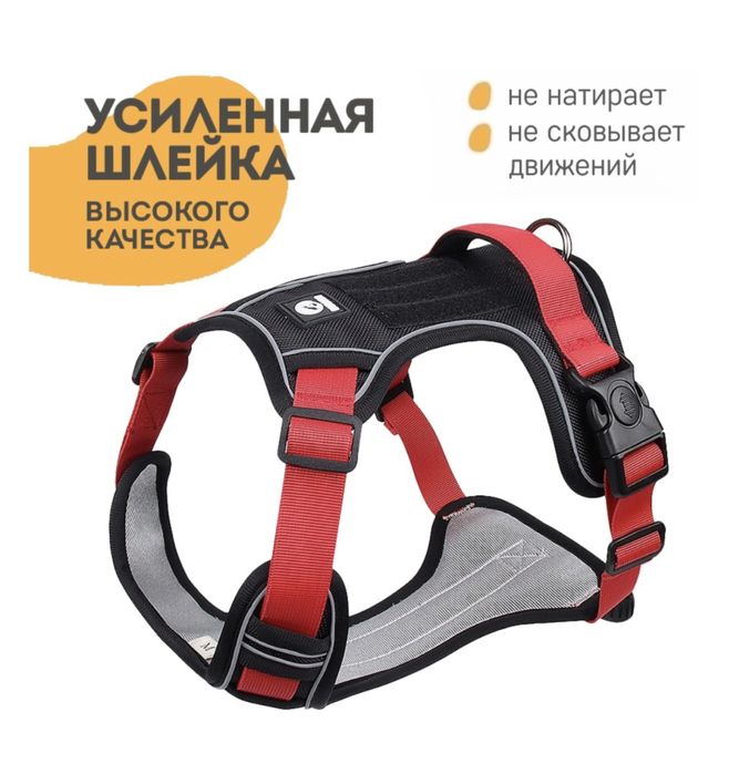 Шлейка для прогулки