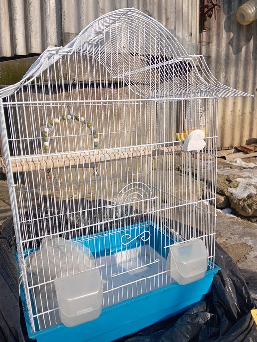 Vând colivie papagali