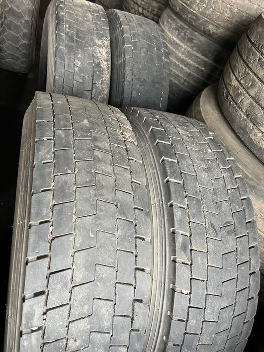 Продам шины Шахман Хова